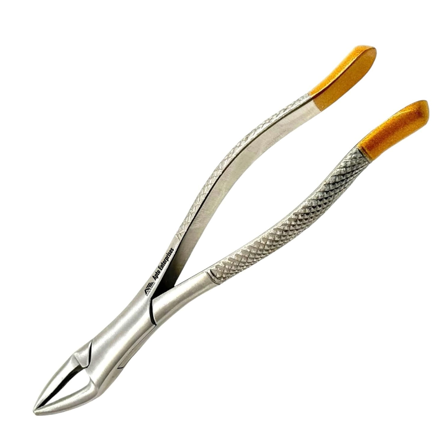 Dental Extracting Forceps