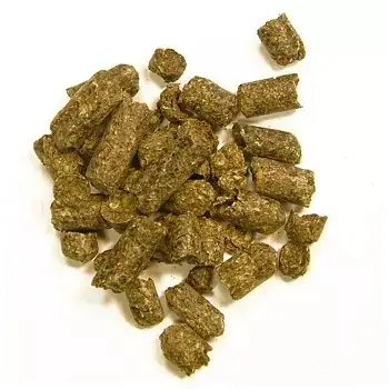 I pellet di polpa di barbabietola sono formati dal commercio all'ingrosso di polpa di barbabietola da zucchero essiccato