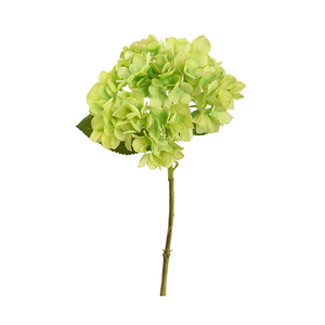 本物の植物保存ビッグリーフアジサイ花ウェディングデコレーション用ホワイトホワイトパープルピンク乾燥アジサイ