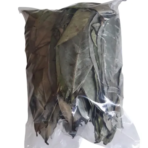Tipo de origem Produto em tamanho real Qualidade ISO Fornecedor de folhas secas por atacado Expad de Graviola seca do Vietnã