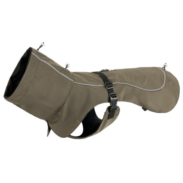 กองทัพสีเขียว