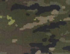 Camo