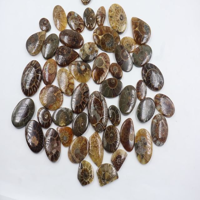 เห็นเป็นภาพ