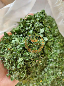 100% bubuk <span class=keywords><strong>Moringa</strong></span> kering bubuk daun <span class=keywords><strong>Moringa</strong></span> bubuk <span class=keywords><strong>Moringa</strong></span> untuk membuat teh dari Vietnam untuk mengekspor - Product Image 6