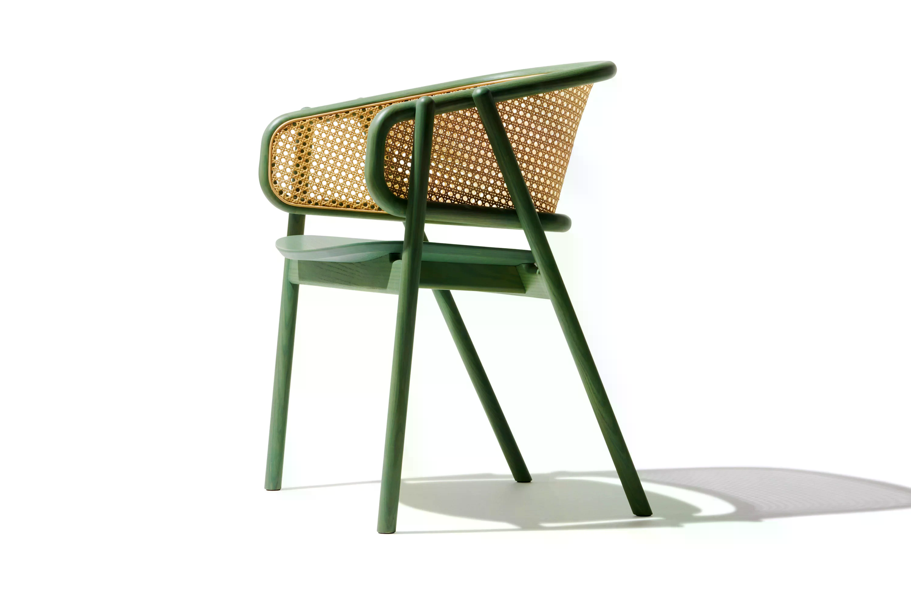 กระบองเพชรสีเขียว