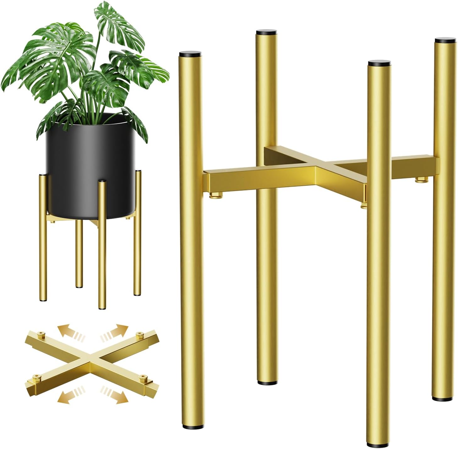 Black & Gold