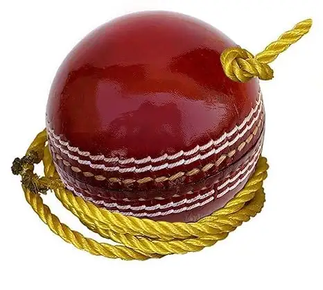 Topkwaliteit Custom Echt Zacht Leer Match Oefenen Training String Harde Tape Kloppende Ballen Speler Hangende Cricket Touw Bal