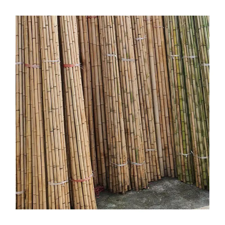 Bambu vietnamita Polos estão disponíveis em grandes quantidades e são precificados competitivamente