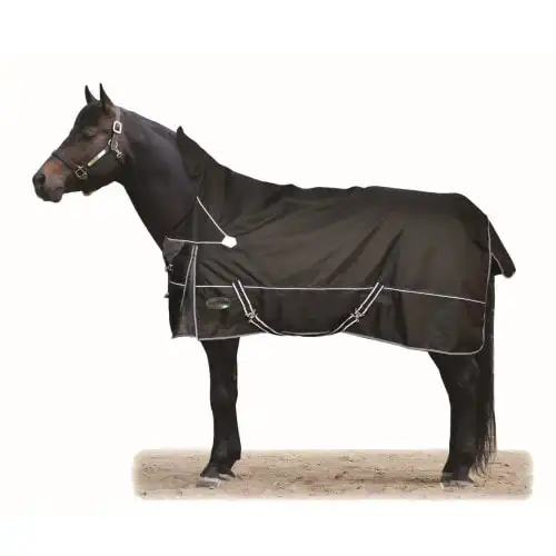 Tapete cavalo impermeável confortável respirável elegante e personalizado cor cavalo tapete fabricantes