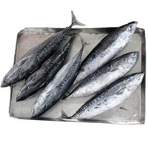 批发低价热卖全圆黑色新鲜罗非鱼 - Product Image 2