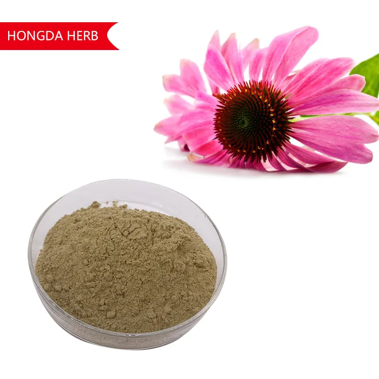 Echinacea Purpurea निकालने Polyphenols 4% संयंत्र निकालने Echinacea निकालने