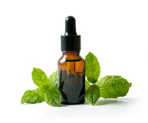 MELALEUCA ALTERNIFOLIA uçucu yağ aromaterapi dünyasında popüler aromaterapi ve cilt bakımı için % 100% saf nane yağı güvenli - Product Image 3