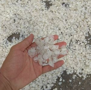 鱼干鳞片制造商/罗非鱼鳞片/SEABASS鱼鳞 - Product Image 2