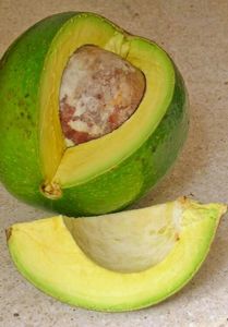 ベトナムの新鮮農産物からの高品質の新鮮で冷凍されたAVOCADOS - Product Image 2