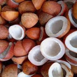 Reines kalt gepresstes Kokosöl aus organischen indischen Kokosnüssen, holz gepresstem Öl, unraffiniert, Öl in Lebensmittel qualität, natives Extra öl