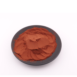 Cấp thực phẩm chất lượng cao chiết xuất hạt nho bột 98% - Product Image 2