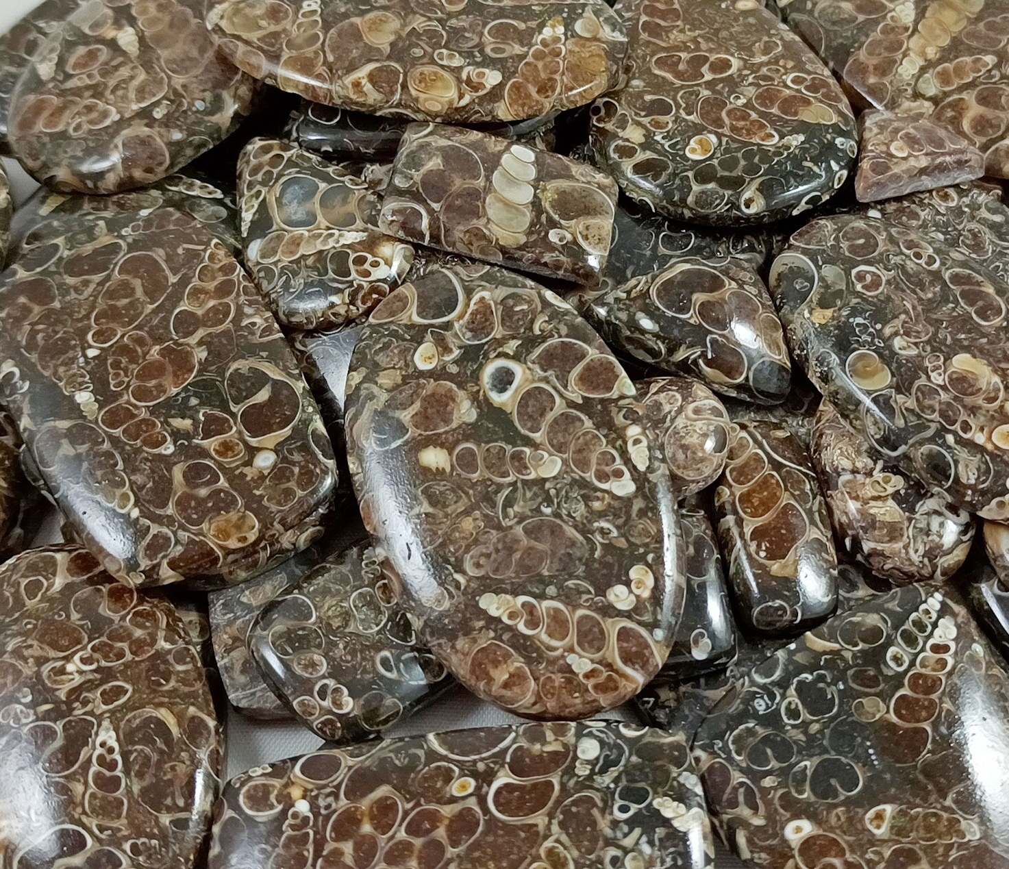 สีน้ำตาล