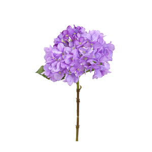 本物の植物保存ビッグリーフアジサイ花ウェディングデコレーション用ホワイトホワイトパープルピンク乾燥アジサイ