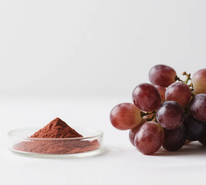 Cấp thực phẩm chất lượng cao chiết xuất hạt nho bột 98% - Product Image 3