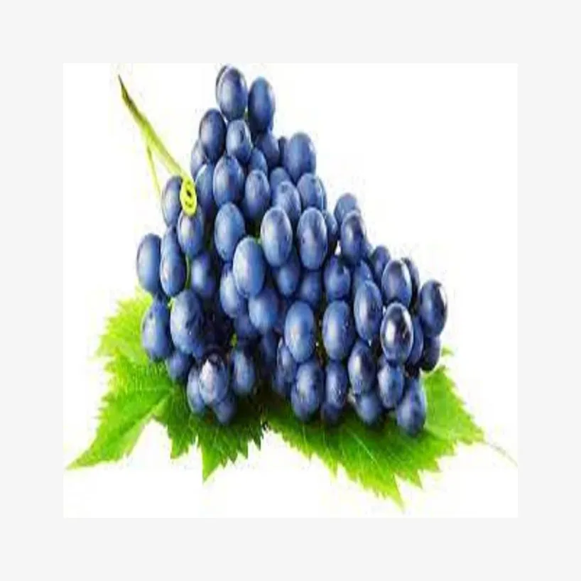 Les raisins sont une centrale d'antioxydants raisin Farm Fresh Grapes