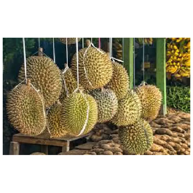 Frutta durian a buon mercato e fresca di qualità e prodotti durian congelati dal Vietnam