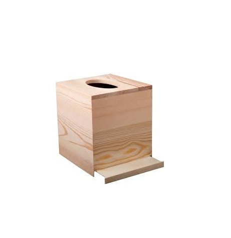 Natural Wood Color