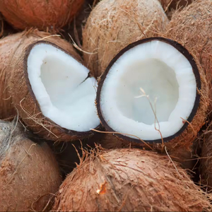 TOP EXPORT DRIED <strong>COCONUT</strong> at AFFORDABLE PRICE