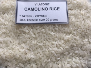 אורז בינוני (camolino-Calrose) לא gmo europe רגיל דפוס ארוך בבסמטי מ vilaconic jsc vietnam