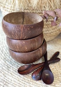 <strong>COCONUT</strong> BOWL and SPOON - HIGH QUALITY <strong>COCONUT</strong> CARVED SHELL BOWLS and SPOON MIXED COLOR and <strong>SHAPE</strong> - Product Image 6