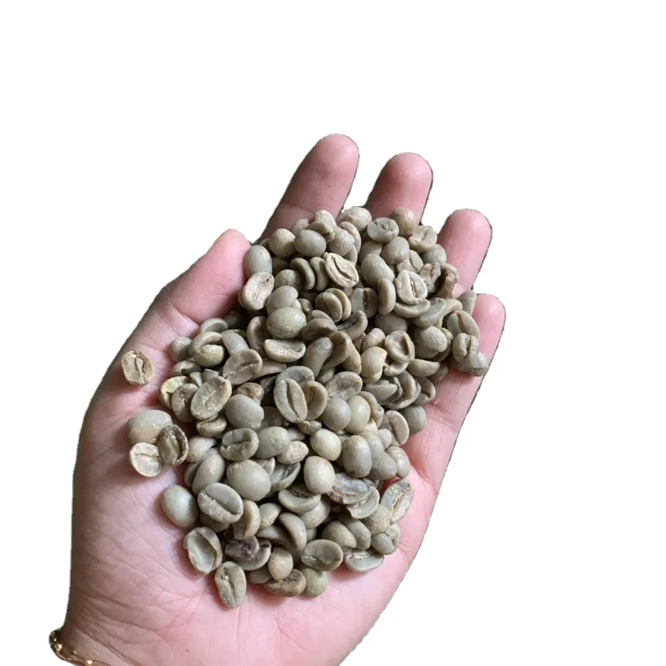 베트남에서 녹색 콩 아라비카/로부스타 제조 커피 콩-WHATSAP 0084387264621