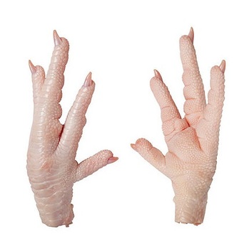 Chicken Paws Manufacturers, Suppliers, Wholesalers and Exporters