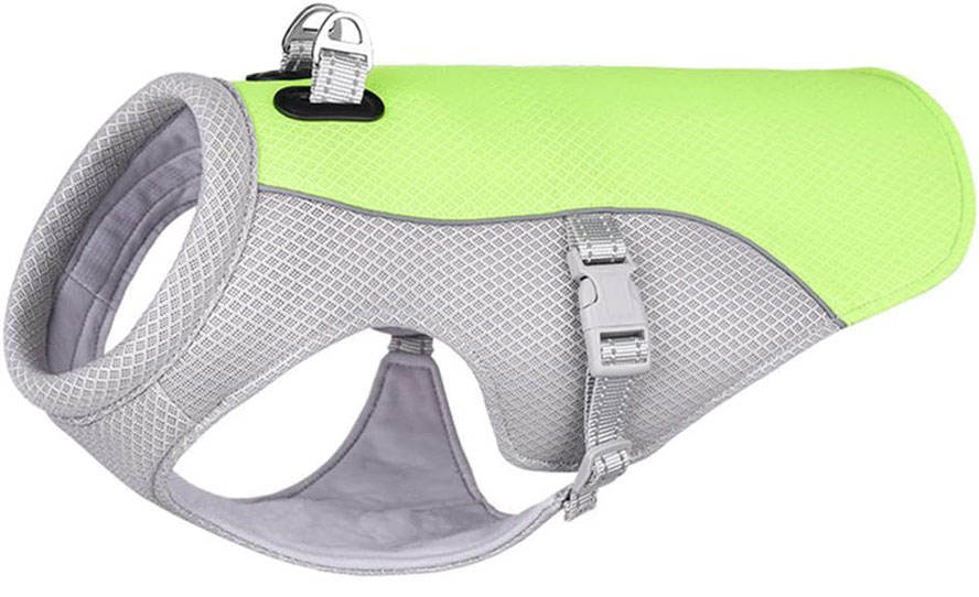 สีเขียว