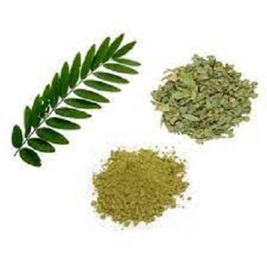 Hint kökenli en kaliteli Senna bakla fabrika fiyat tek otlar baharat Senna yaprakları/hindistan'dan Senna bakla tedarikçisi - Product Image 1