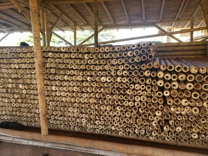 批发天然直竹竿批发竹竿-花园、建筑和建材用竹竿