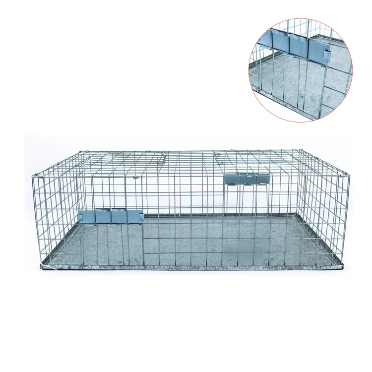 Live Cage Trap Armadilha Grande Pombo para Interior e Exterior Bird Cage Trap Controle Animal