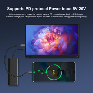 Zeuslap 15,6 pulgadas Monitor portátil 1080P Extensor de pantalla para computadora portátil con entrada USB tipo C