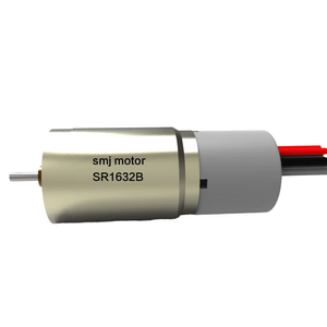 24V 16mm di diametro DC spazzolato servomotore con Encoder per macchina da cucire - Product Image 1