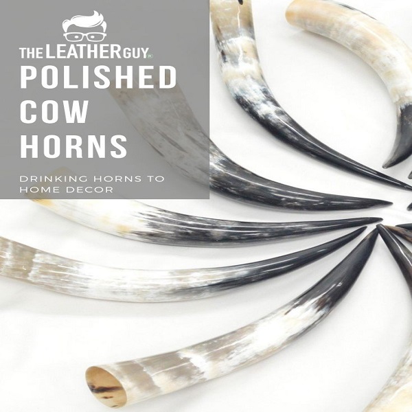 Natural Horn Color