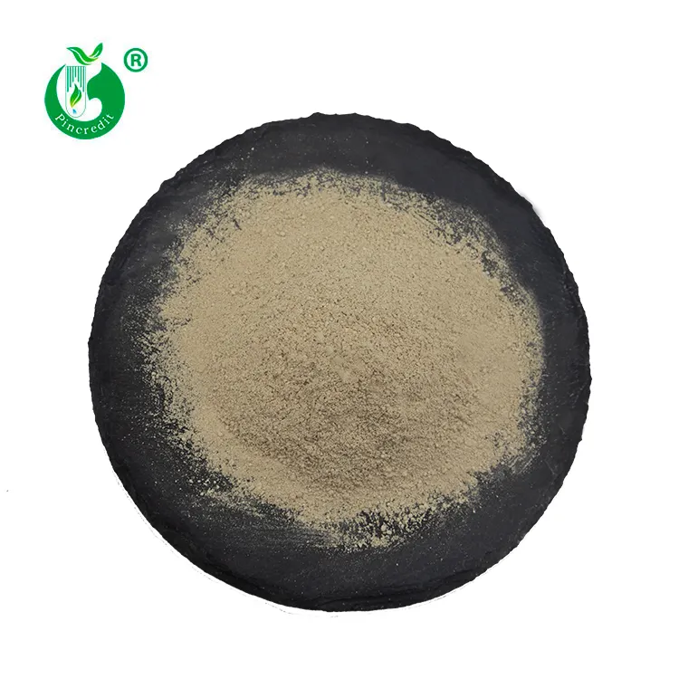 Pincredit Wholesale Fast Delivery High Purity CAS 1143-70-0 Urolithin A Powder