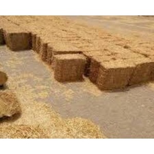 Balles de paille de blé/balles de foin en paille de blé de qualité à vendre Meilleure qualité paille de blé pour l'alimentation animale exportation