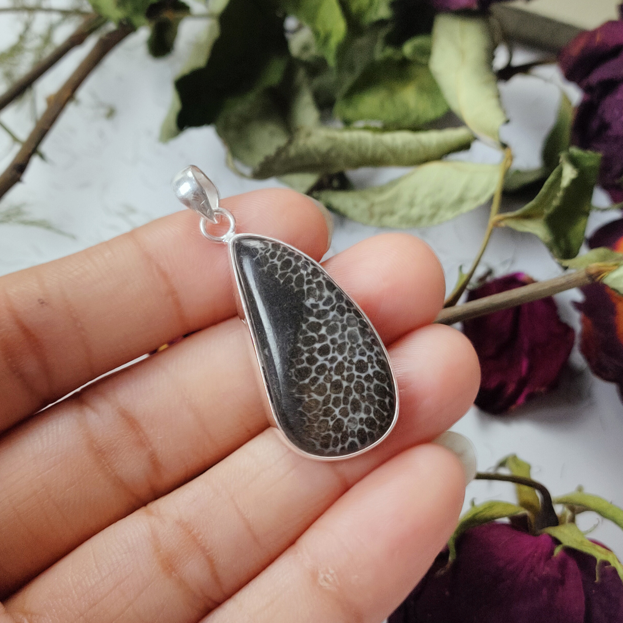 Fossil Coral
