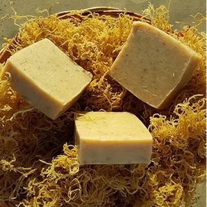 ORGANIC SEAMOSS SOAP / MINERAL RICH / CLEAN LABEL / PLANT PURITY - Product Image 1