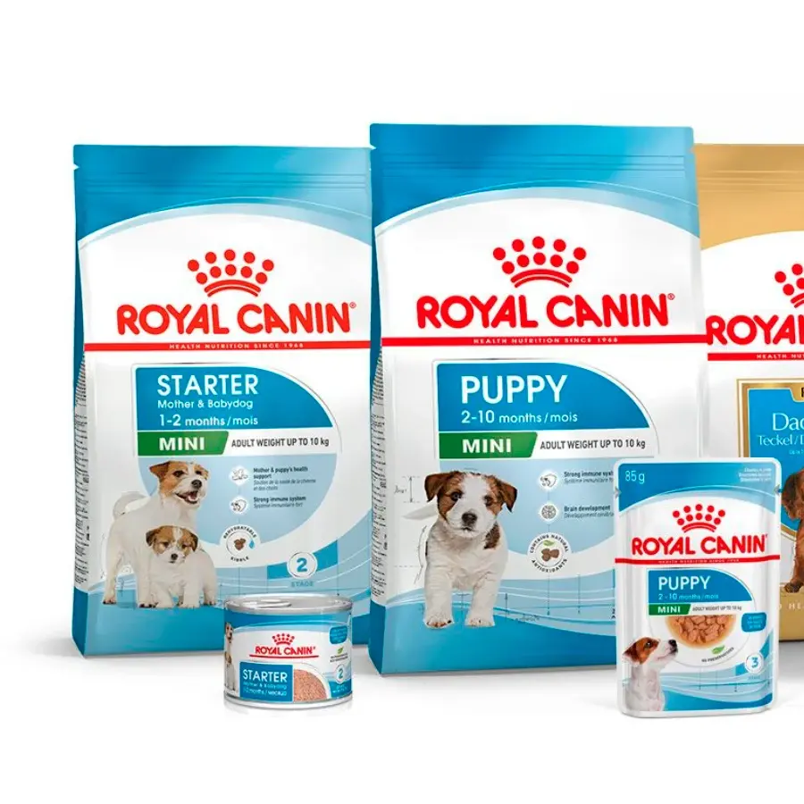 Royal Canin Size Gezondheidsvoeding Starter Moeder & Babydog - Maxi Droog Dierenvoer Voor Hond Klaar Om Te Verzenden