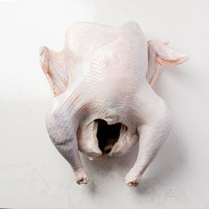 ไก่งวงแช่แข็งทั้งตัวฮาลาลคุณภาพ | เนื้อไก่งวงแปรรูปแช่แข็งแบบเต็ม - Product Image 2