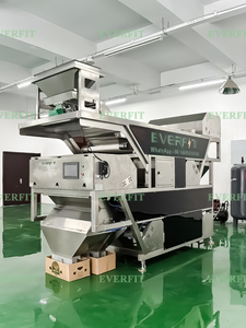 AI Sorter <strong>for</strong> Coffee <strong>Cocoa</strong> Pistachio <strong>Beans</strong> Date <strong>Sorting</strong> Production Line 3000KG with 220V Motor and Engine Core Components - Product Image 6