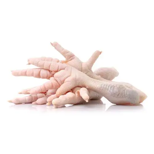 Patas de frango congeladas para boa exportação, pés de frango congelados para venda, pés de frango frescos para atacado