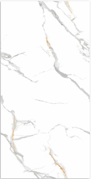 RC_5004_FIN