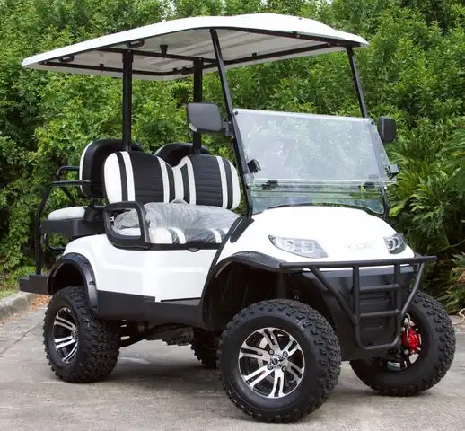 Mạnh mẽ hiệu suất cao đa chức năng 6,5,4 chỗ ngồi Golf giỏ hàng với pin lithium để bán