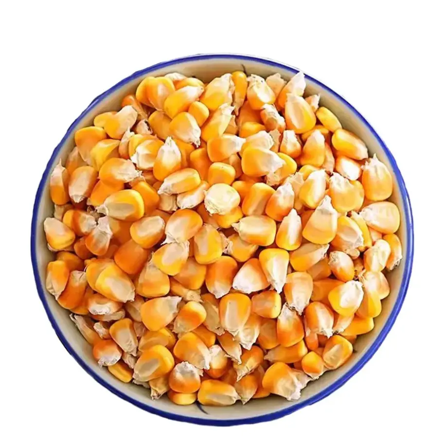 Yüksek kalite özel sarı mısır sopa tatlı doğal sağlıklı yeşil gıda mumsu mısır ucuz fiyat