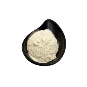 Toptan toplu fiyat 99% Nisin CAS 1414-45-5 toz klorat ürün ile büyük stok